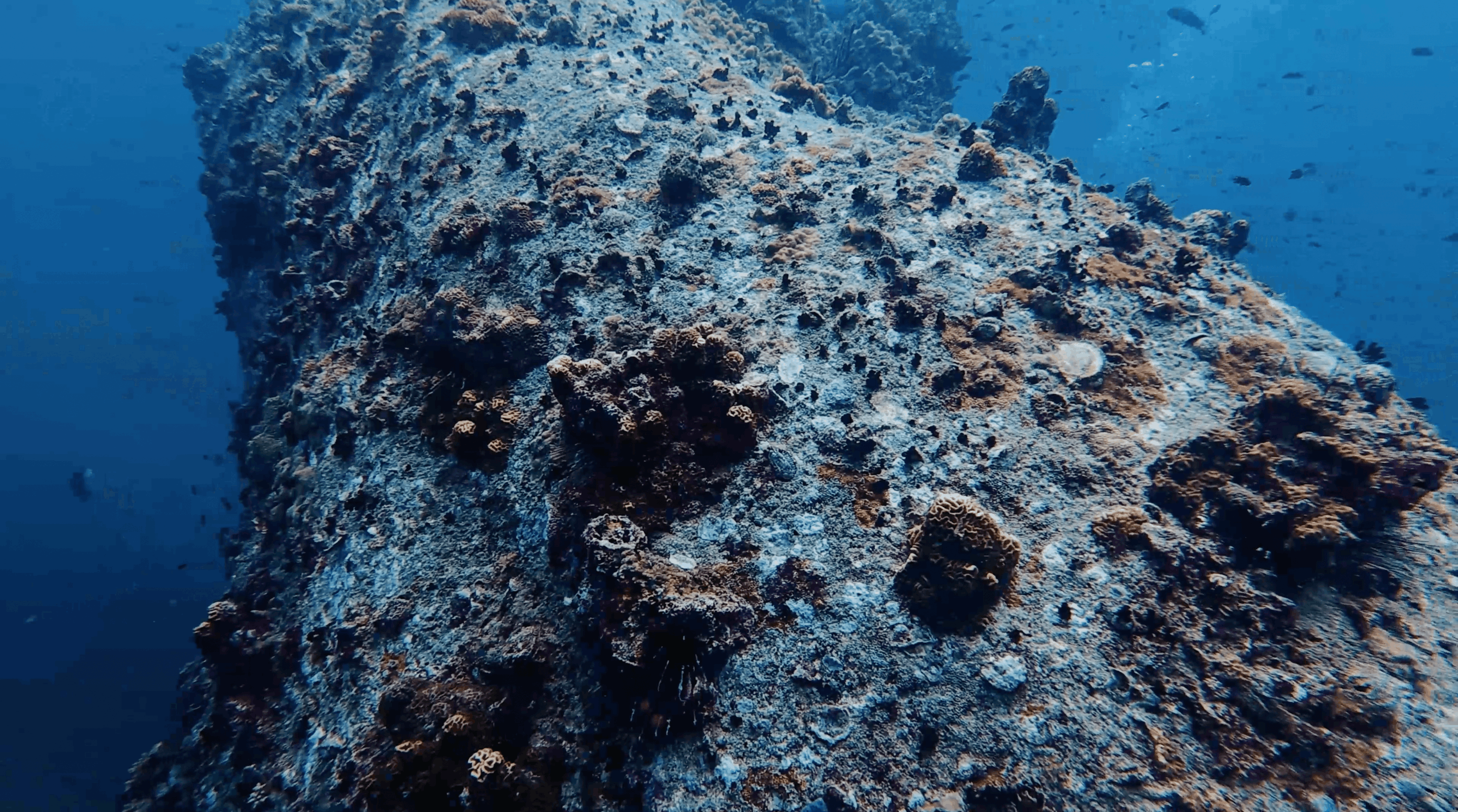 Coral covered boulder face dropping into the blue at Boulders, Koh Tao
