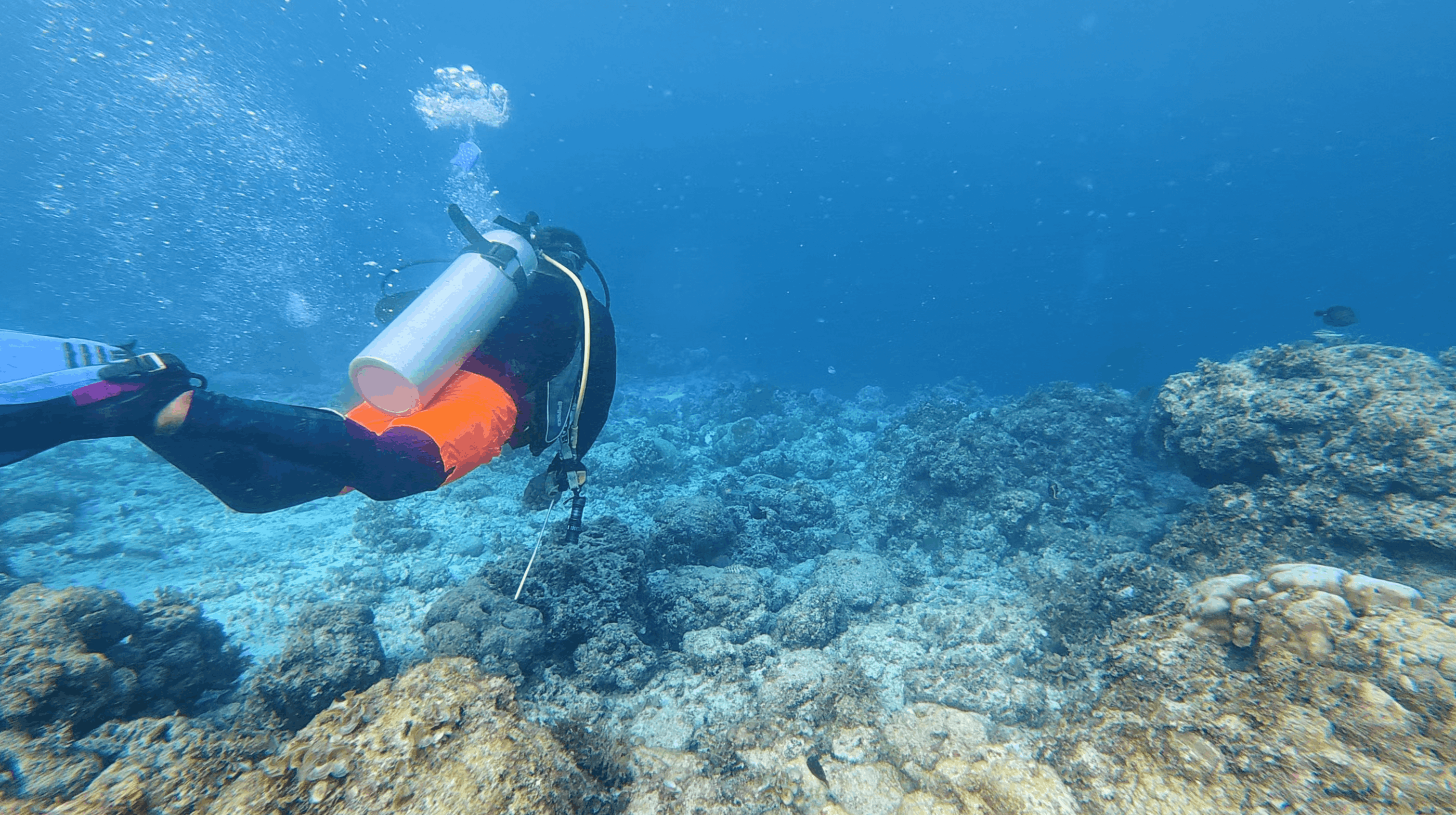 Diver carrying a surface marker buoy over the rubble at the end of the dive at Panagsama House Reef, Moalboal, Cebu, Philippines