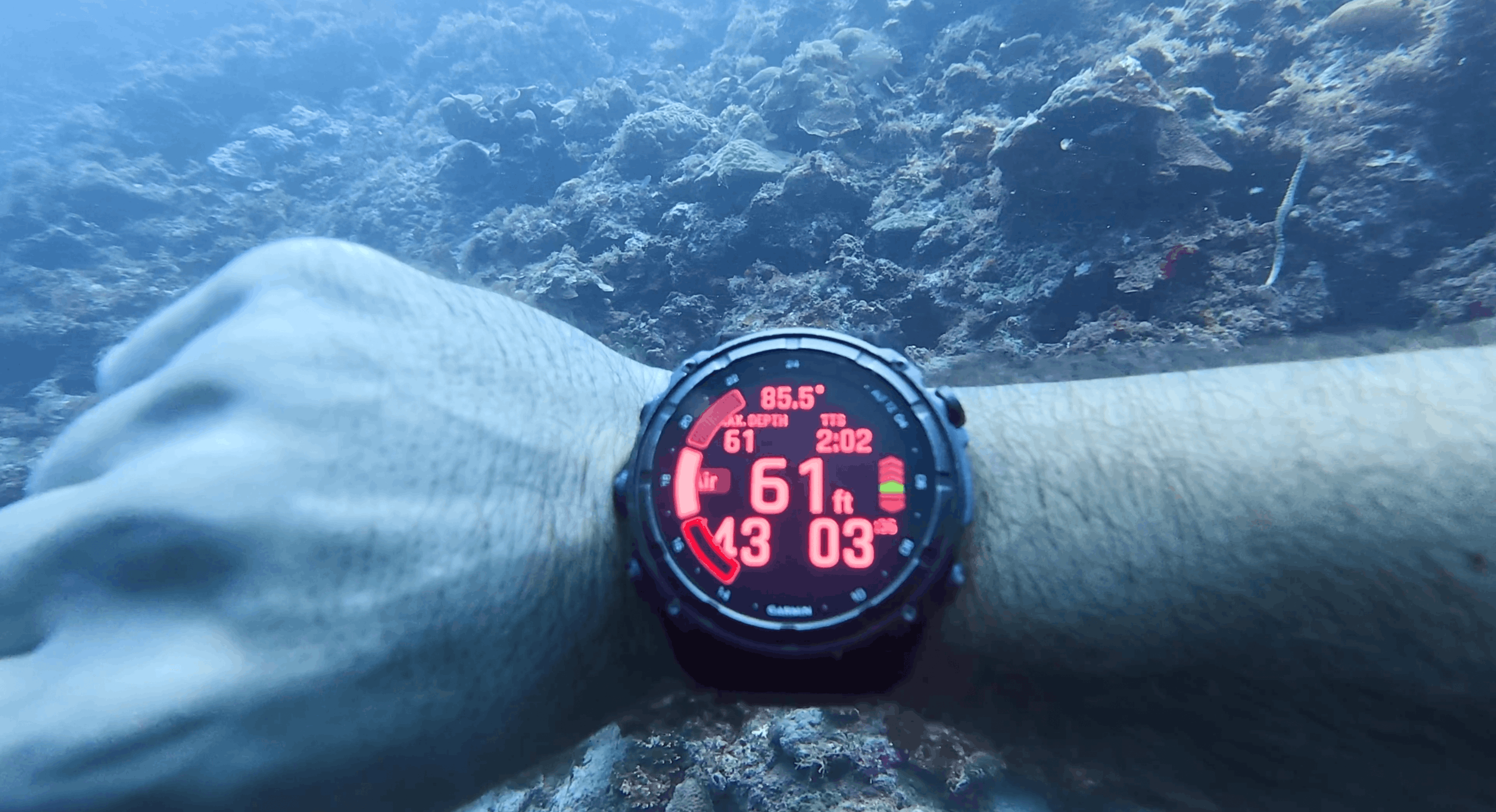 Garmin dive computer reading 61 ft and 85.5 degrees at White Beach, Moalboal