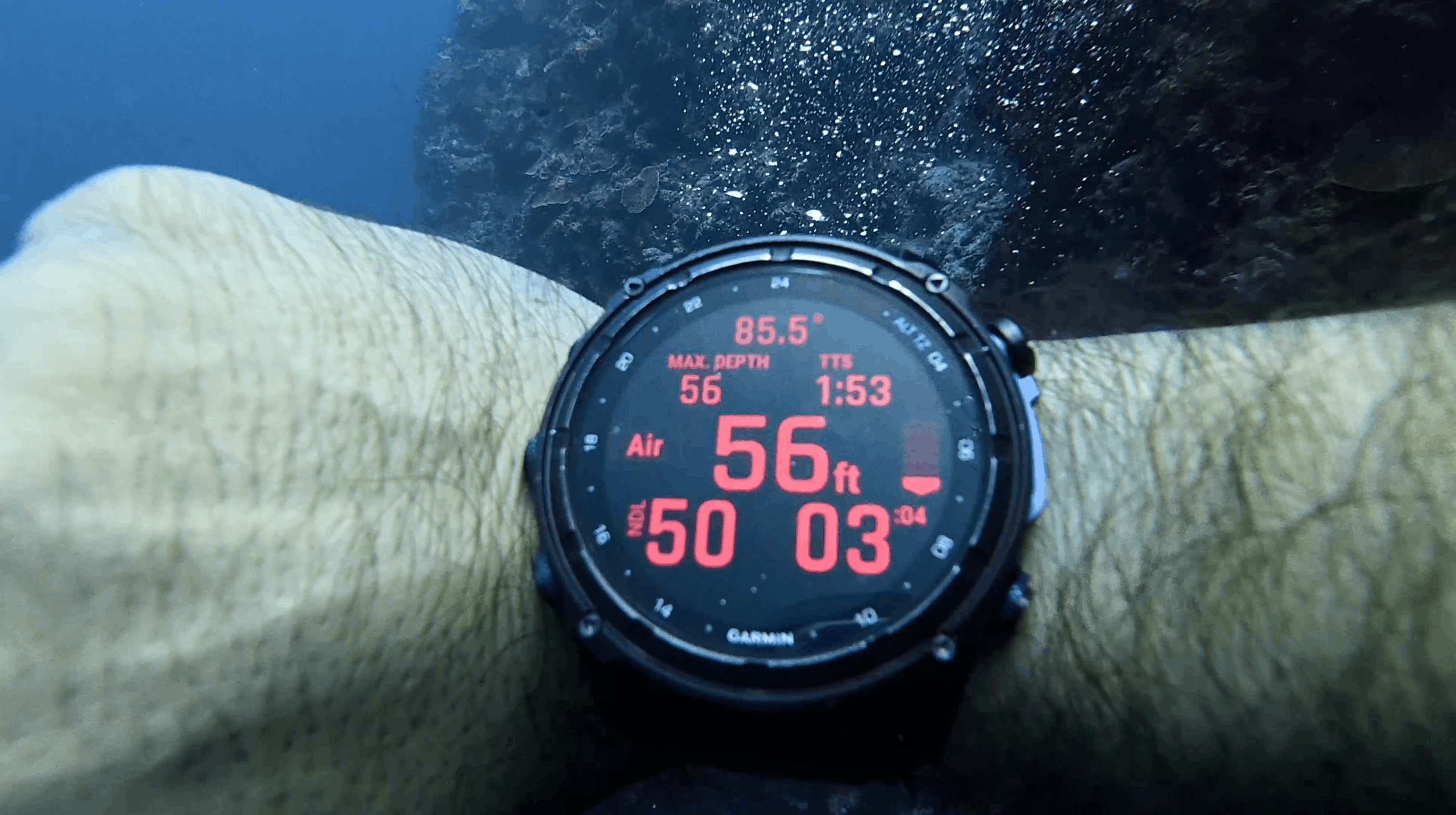 Garmin dive computer reading 56 ft and 85.5 degrees at Tonga South, Moalboal