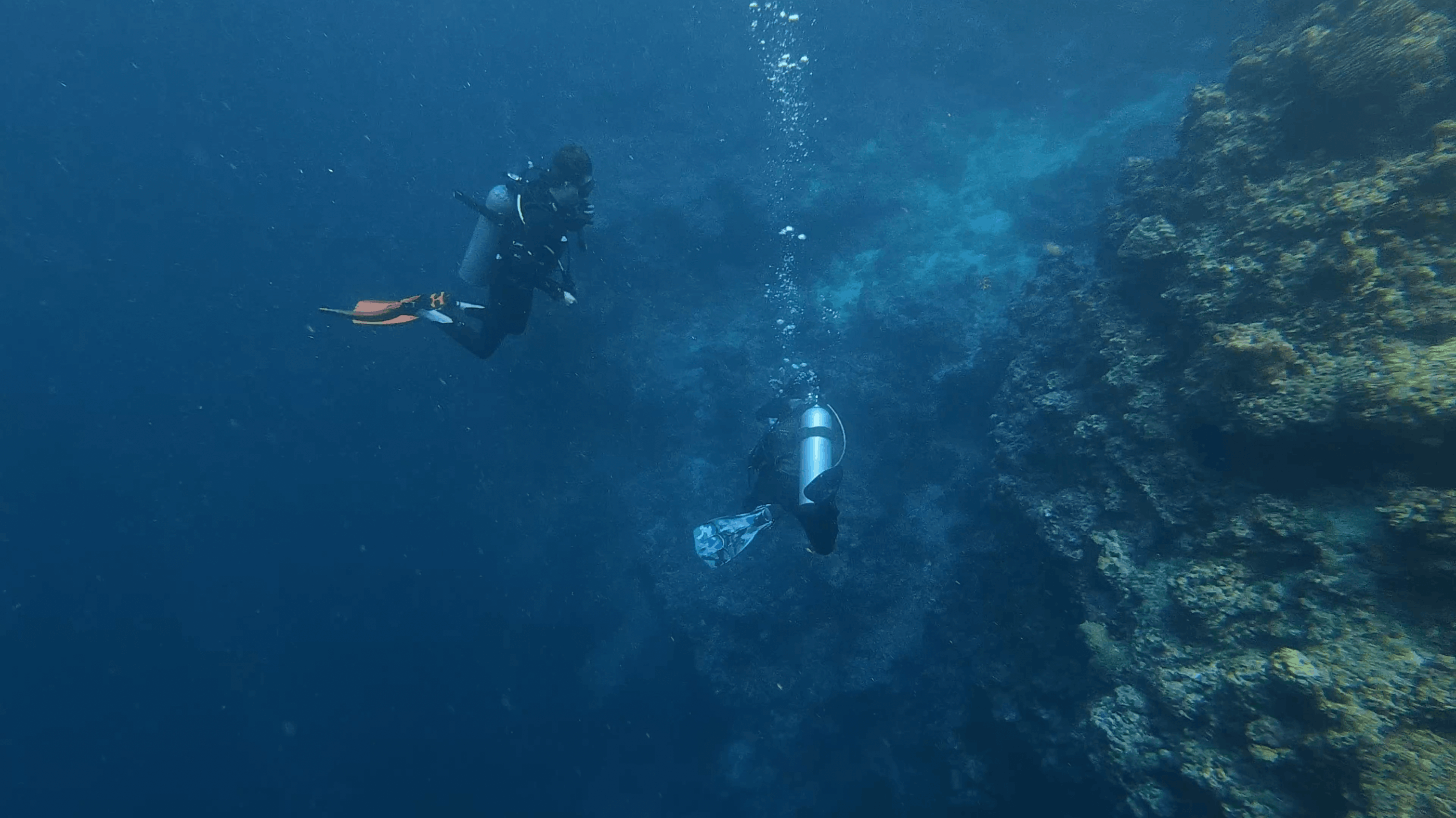 Descending along the wall at Tonga South, Moalboal