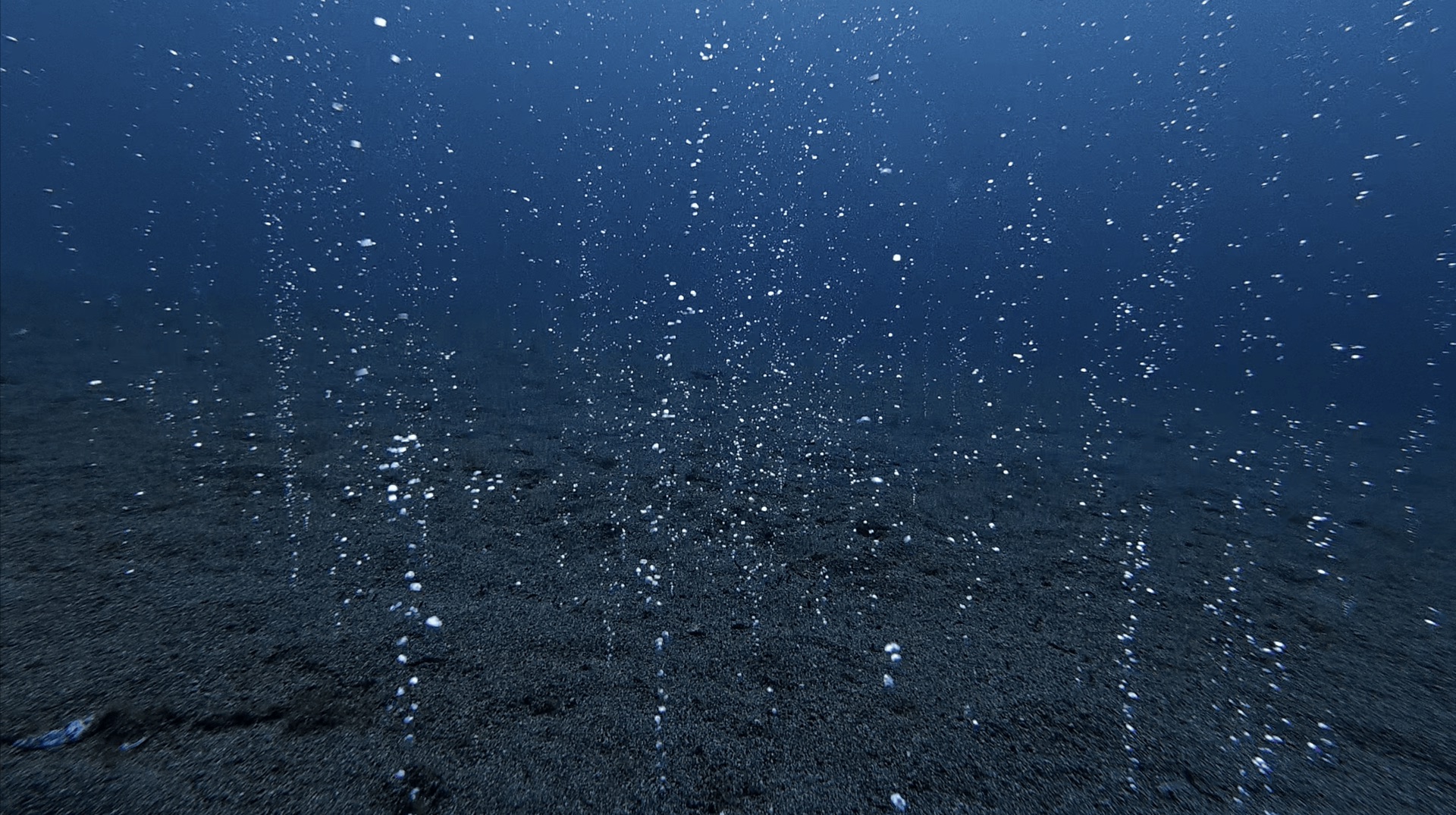Volcanic gas bubbles rising out of the sandy seafloor at Largahan, Apo Island, Philippines
