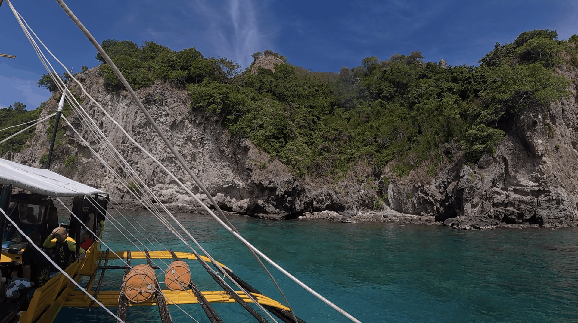 Apo Island's rocky shoreline seen from the dive boat at Largahan, Apo Island, Philippines