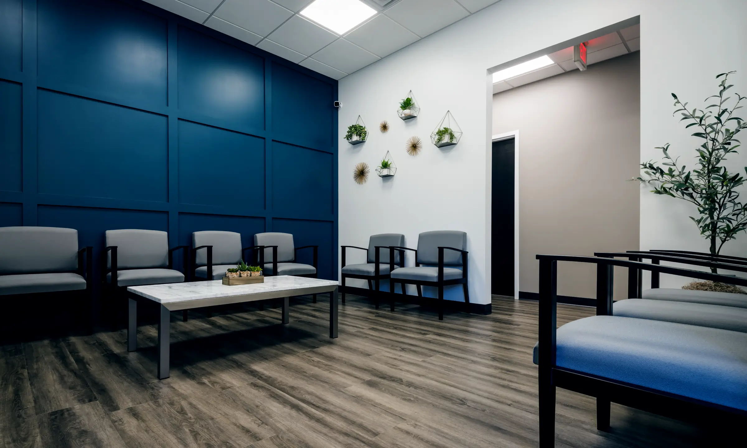 Modern waiting room with gray chairs, a white marble coffee table, blue paneled accent wall, wood floor, and decorative wall plants.