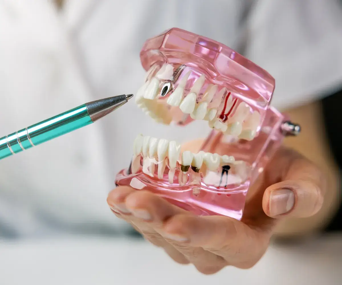 A person holding a toothbrush in their hand.