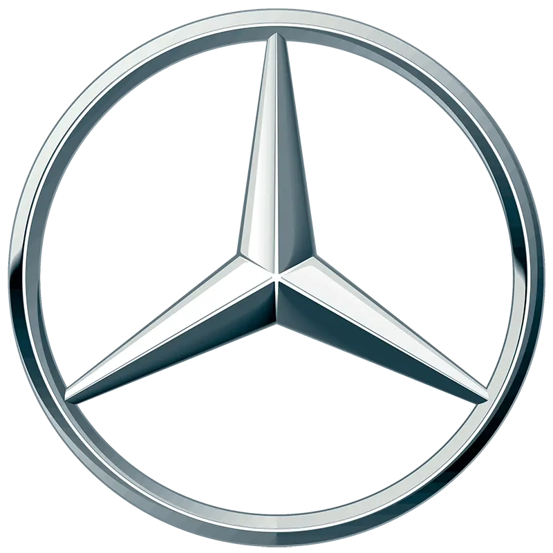 Silver Mercedes-Benz three-pointed star emblem inside a circular frame.