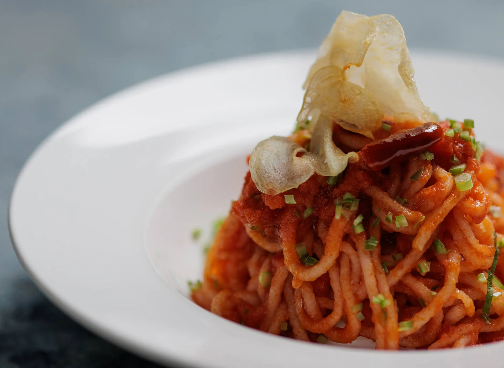 Spicy Tomato Shrimp pasta