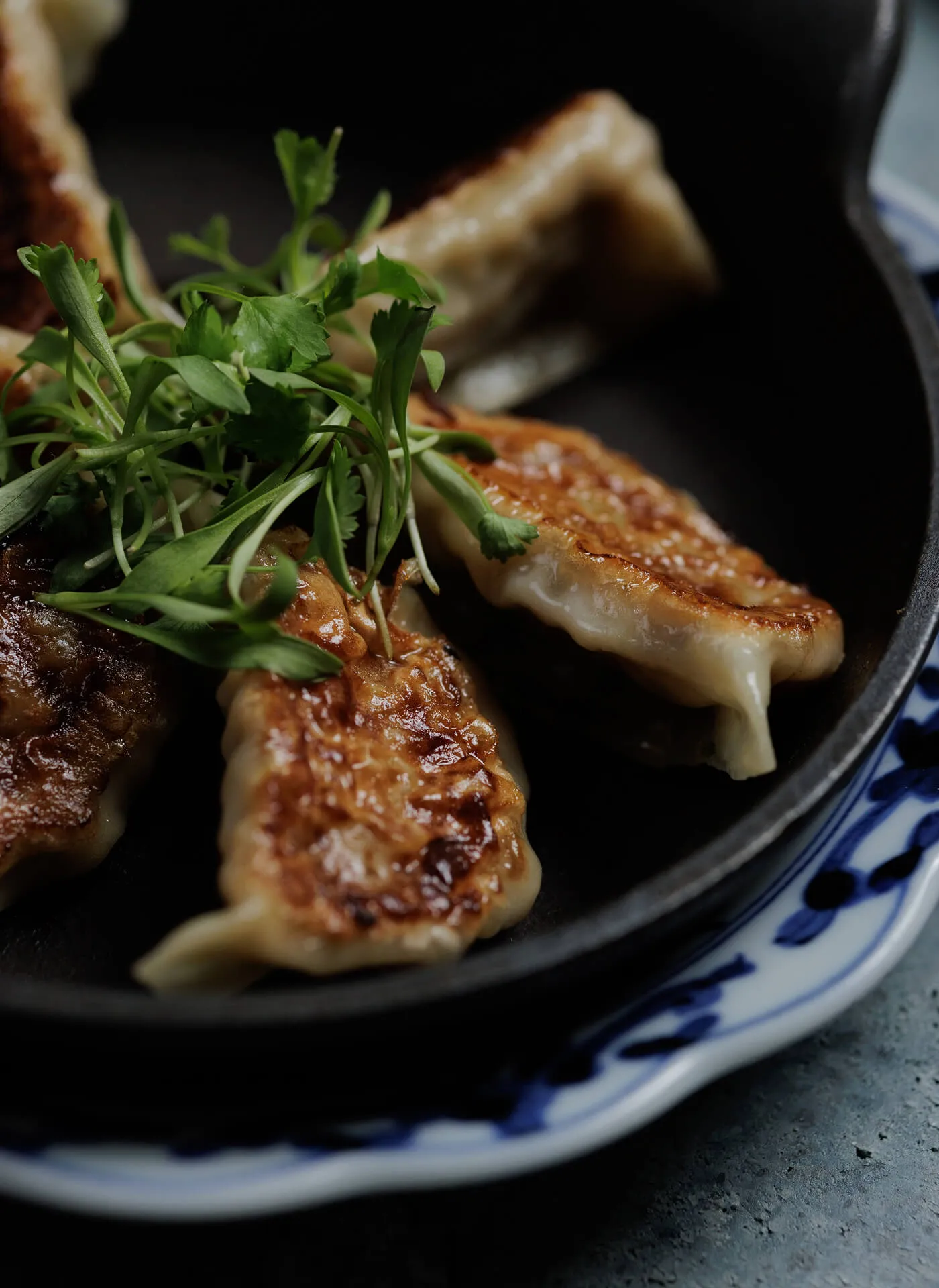 Seared Chicken Dumplings