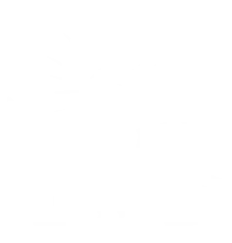 Bowie Performance Labs