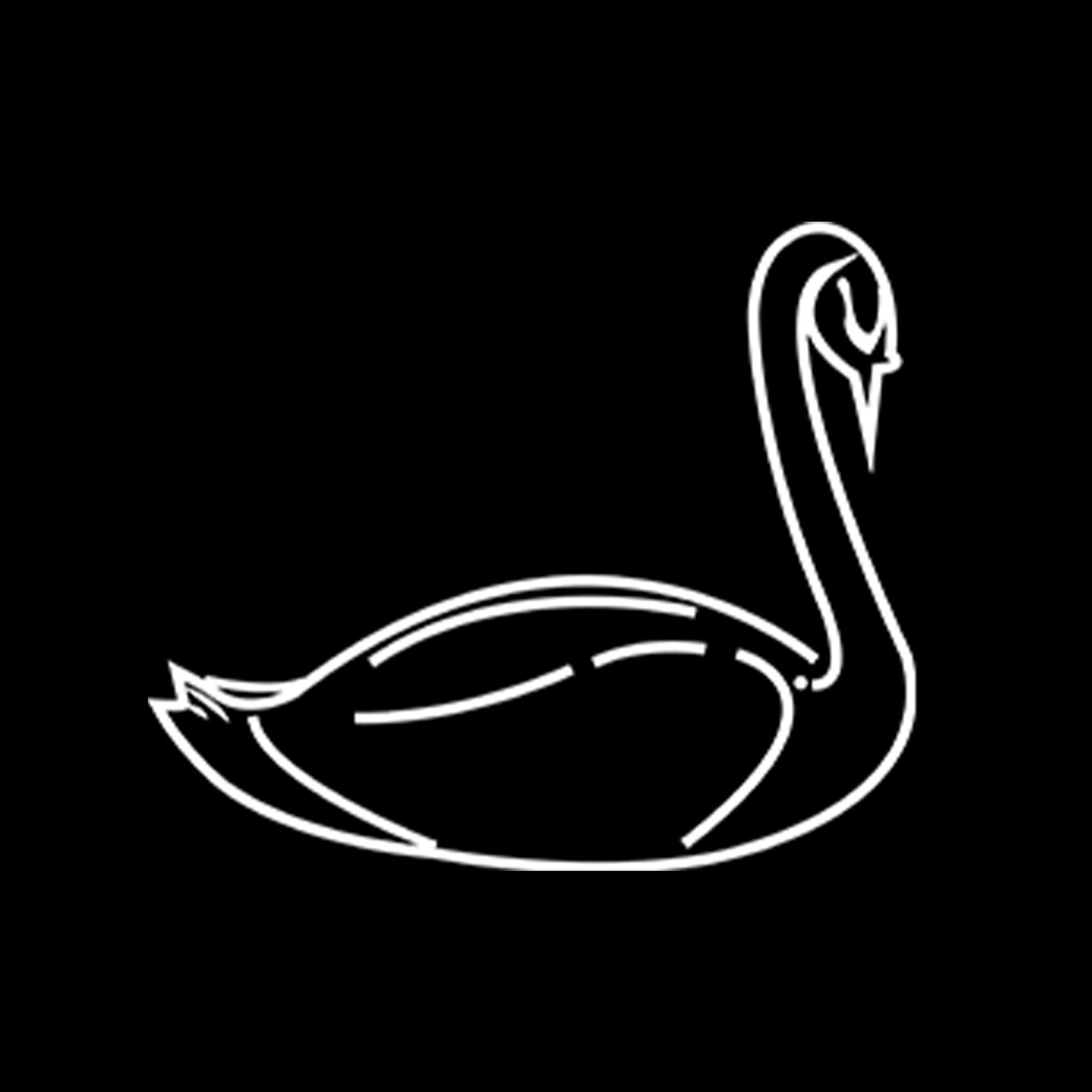 Minimalist white line drawing of a swan on a black background.