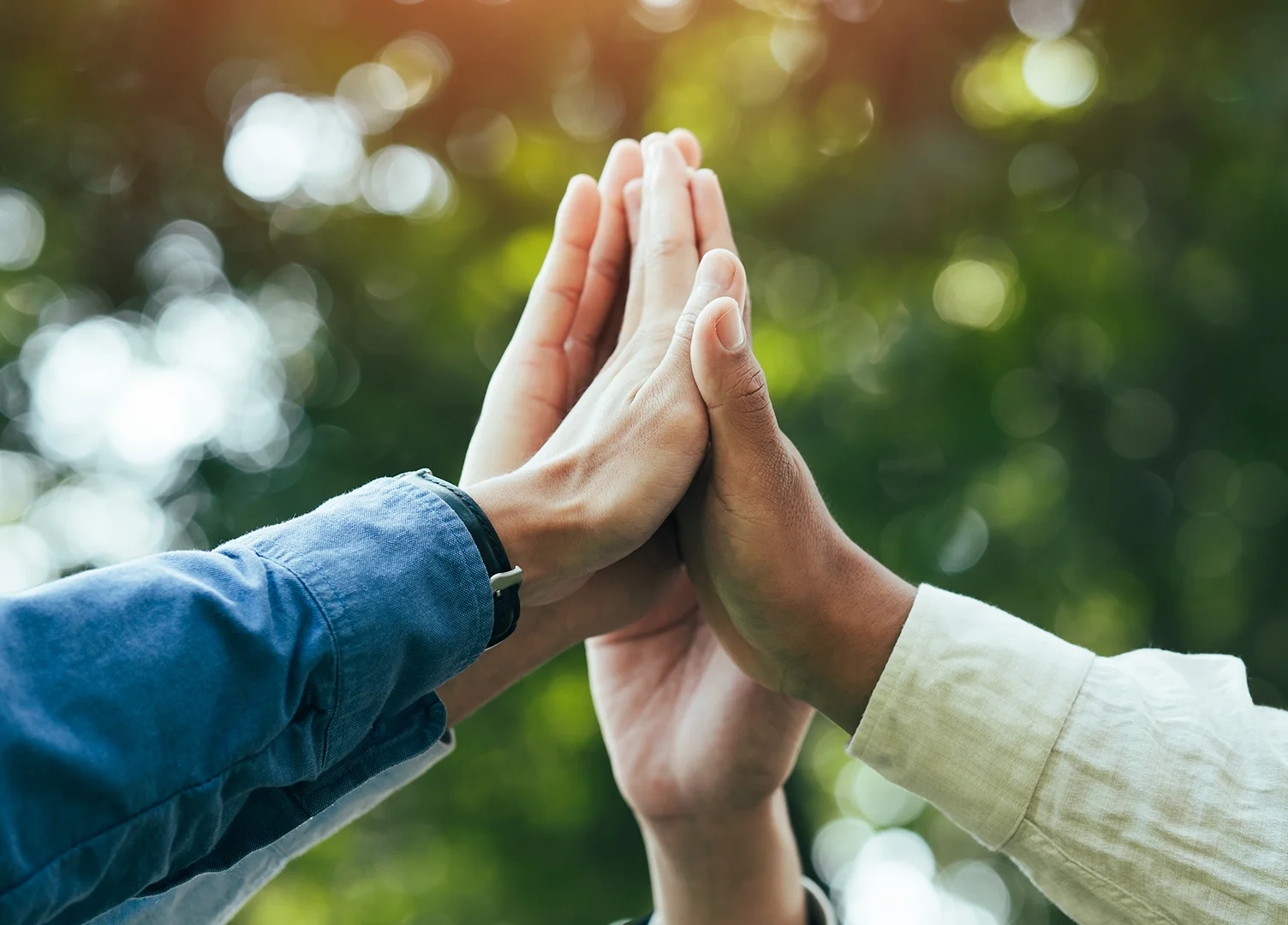 Group of people high-fiving