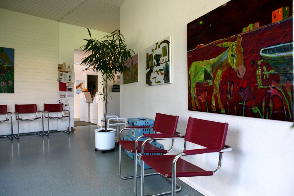 Tierarztpraxis Dr. Schwing-hq2