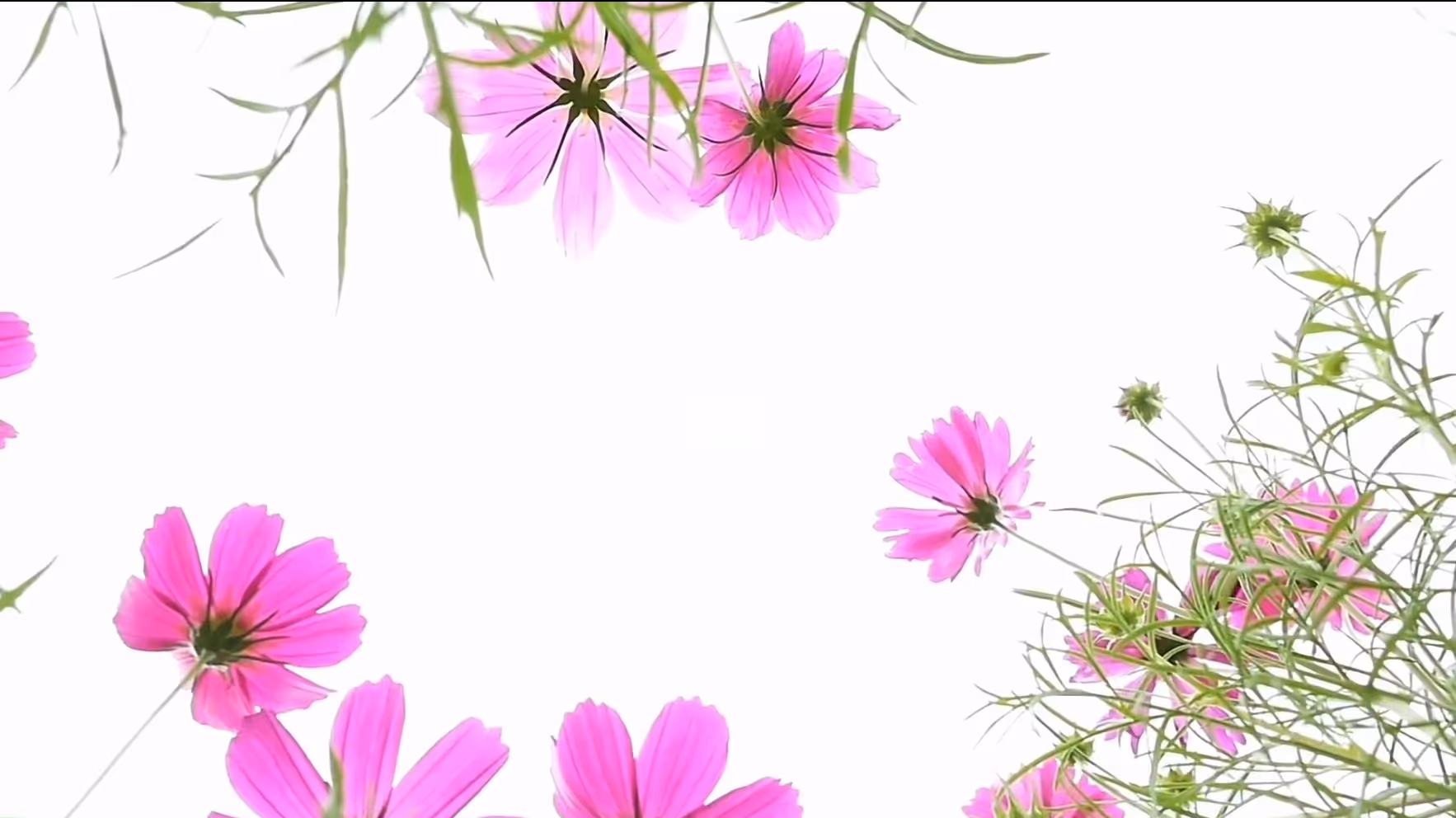 Feel the flow, find your energy