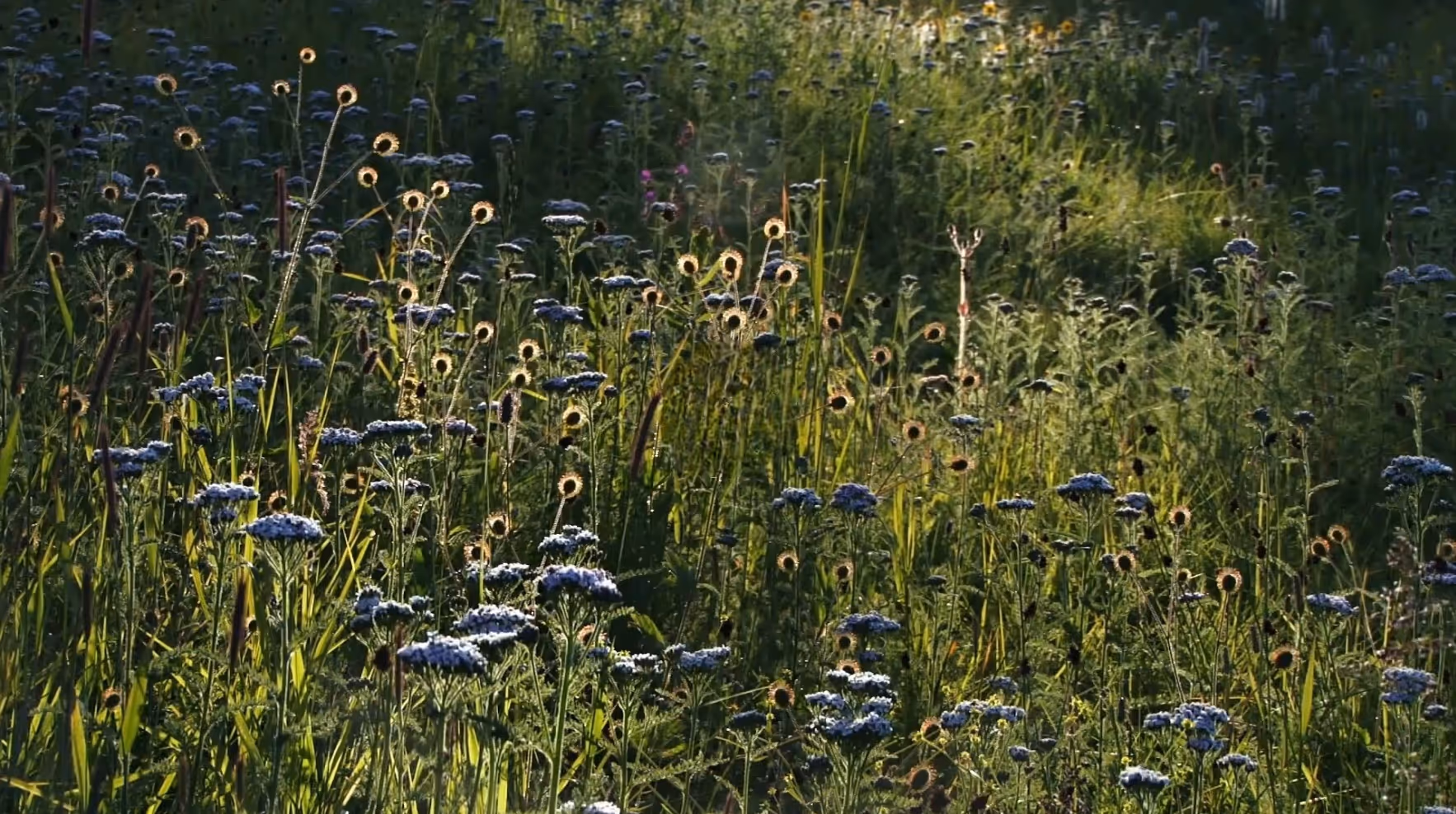 Step away, move to Recharge