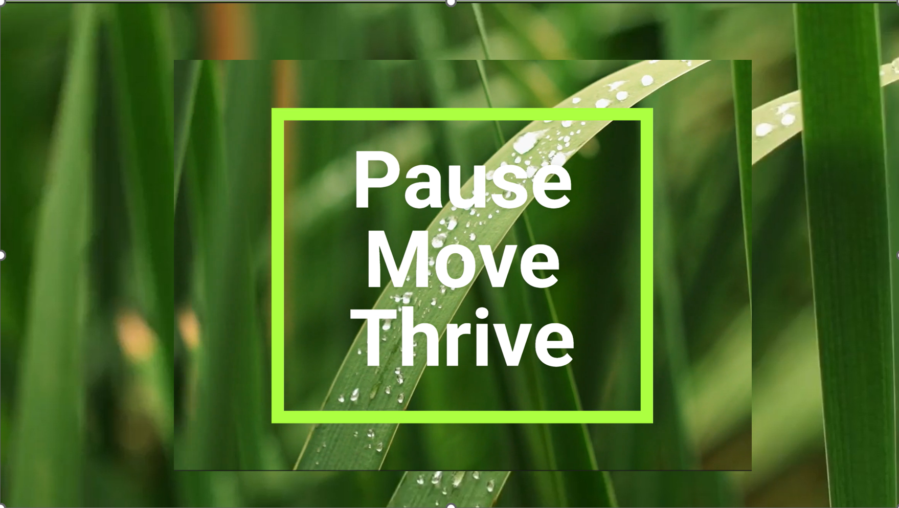 “A group of university students attentively listening to a lecture in a large classroom setting.
