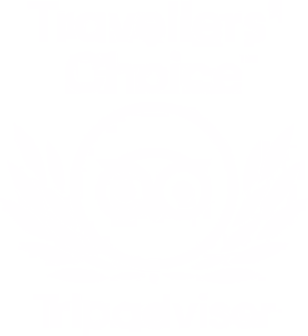 Tripadvisor Travellers choice awards logo