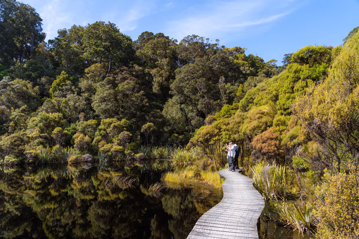 Three people standing on a curved wooden boardwalk beside a reflective pond surrounded by dense green trees under a blue sky.