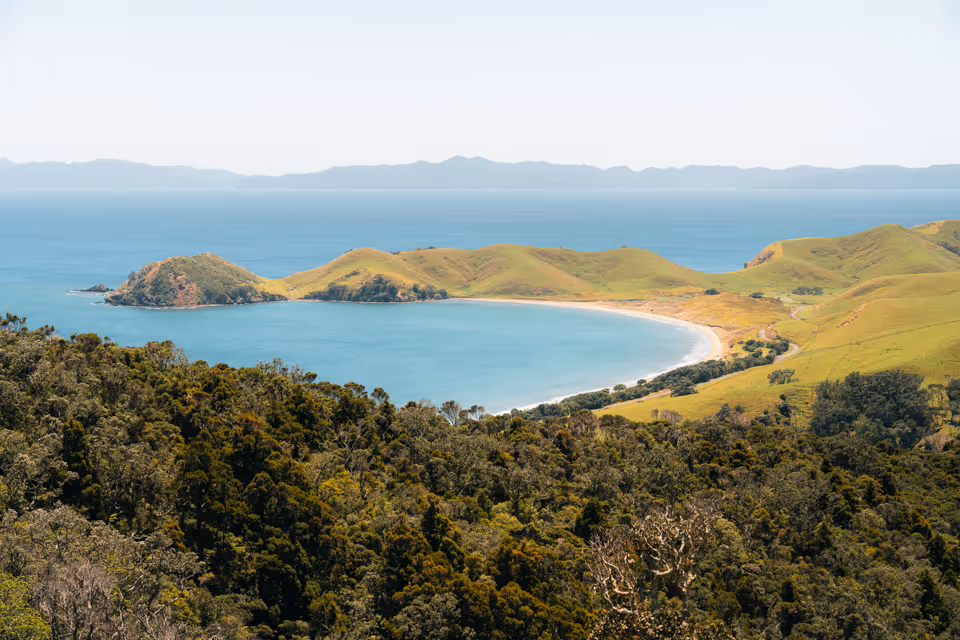 Curved bay with clear blue water surrounded by green hills and dense forest in the foreground under a clear sky.