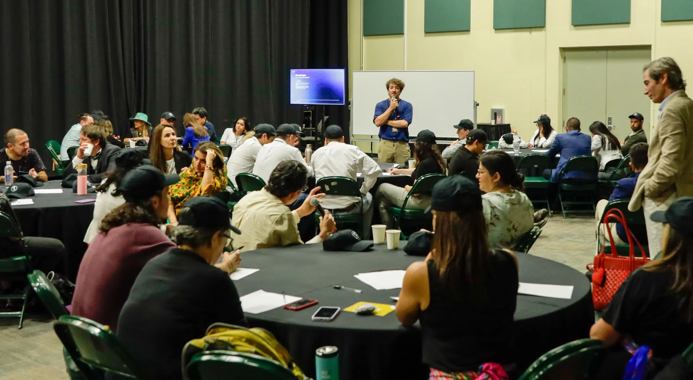 Mentor Premios Verdes