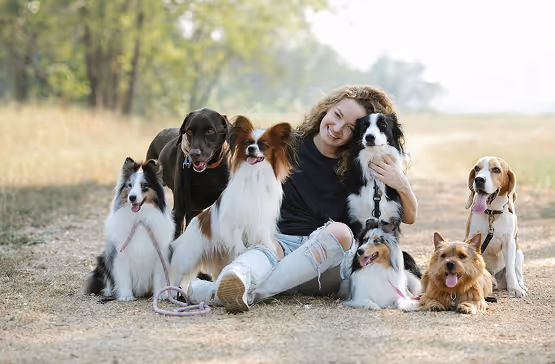 Woman sitting on a dirt path outdoors surrounded by seven happy dogs of various breeds.
