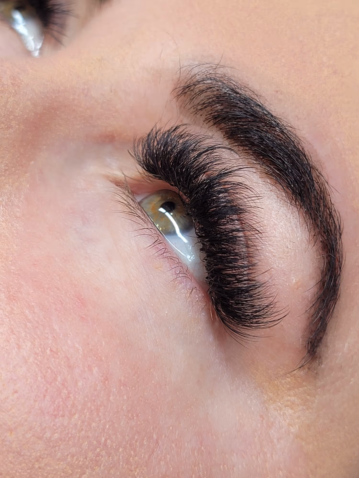 Close-up of a green eye with thick, long eyelash extensions and a well-groomed dark eyebrow.