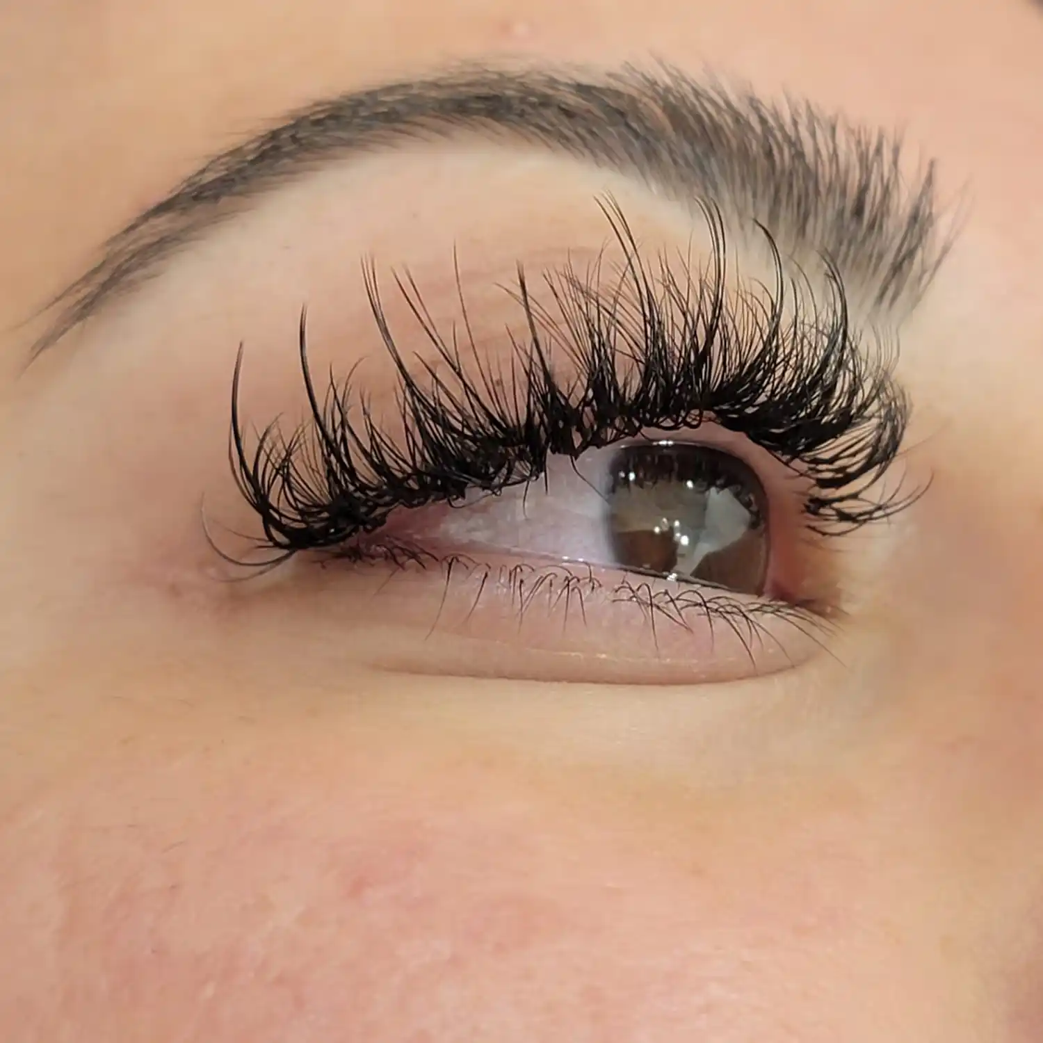 Close-up of a brown eye with long, thick eyelash extensions and a well-groomed eyebrow.