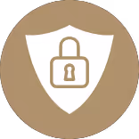 icon security
