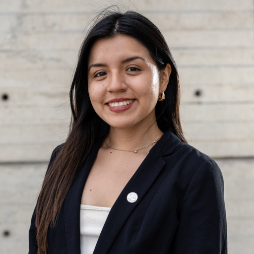 Maria Fernanda Fuentes Castillo