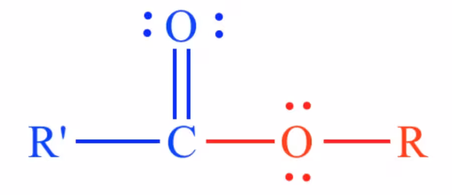 Structural formula of an ester functional group showing a carbon atom double-bonded to an oxygen atom and single-bonded to another oxygen atom, which is bonded to an R group (alkyl or aryl).