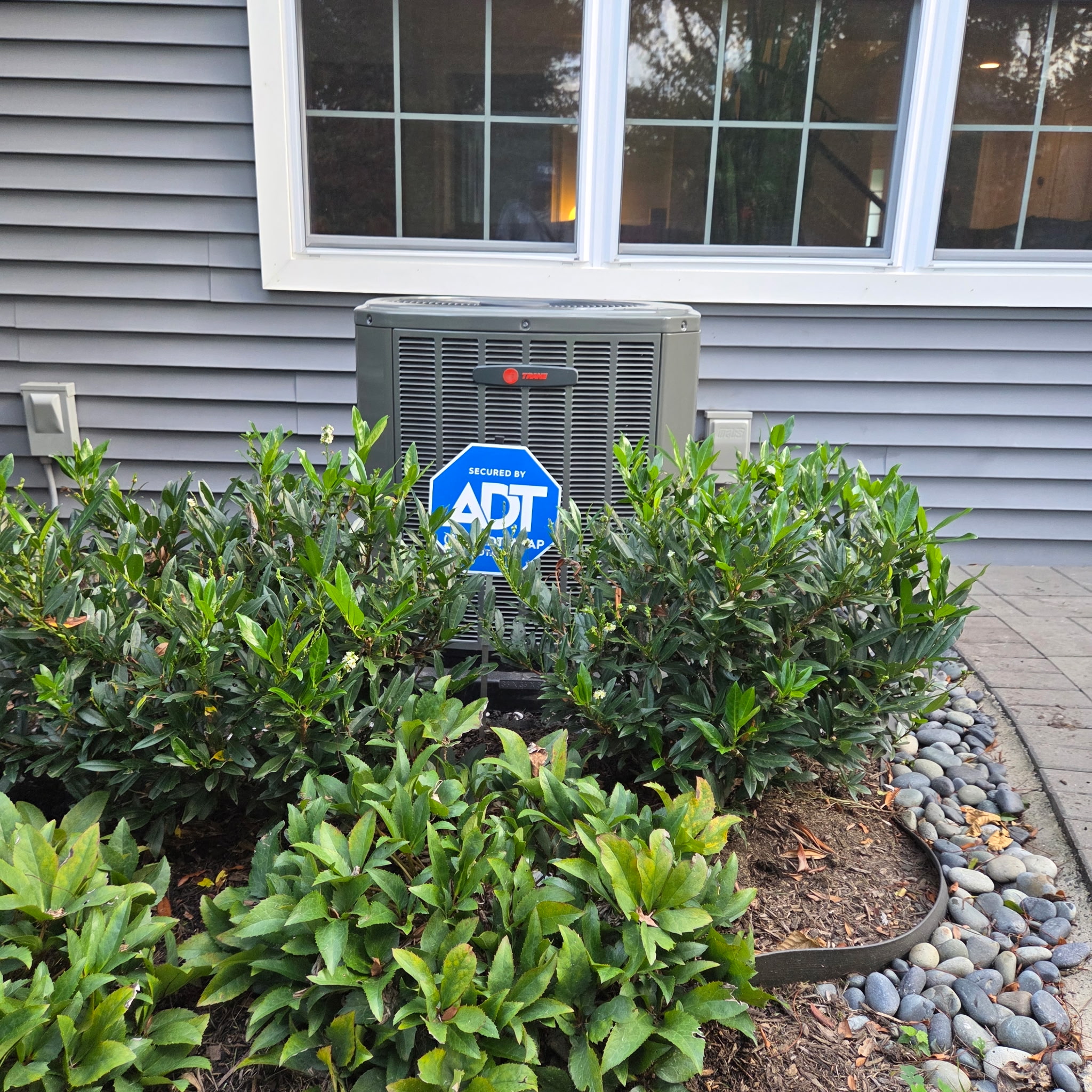 Testimonial Client Image