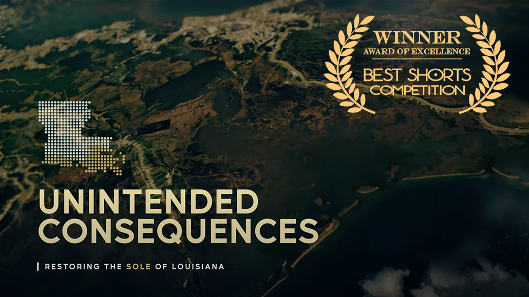 Unintended Consequences - Restoring The Sole of Louisiana