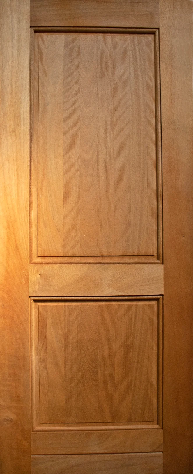 Close-up of a wooden door with two rectangular recessed panels.