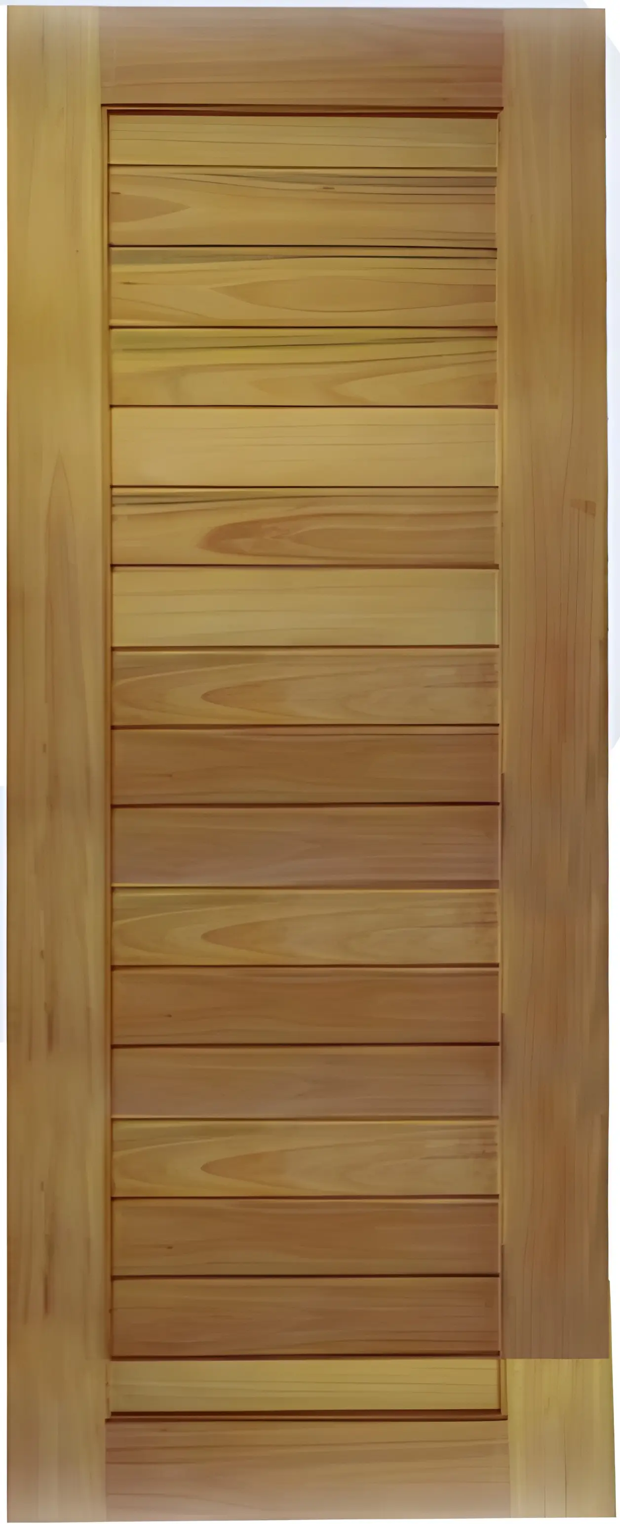 Close-up of a wooden door with two rectangular recessed panels.