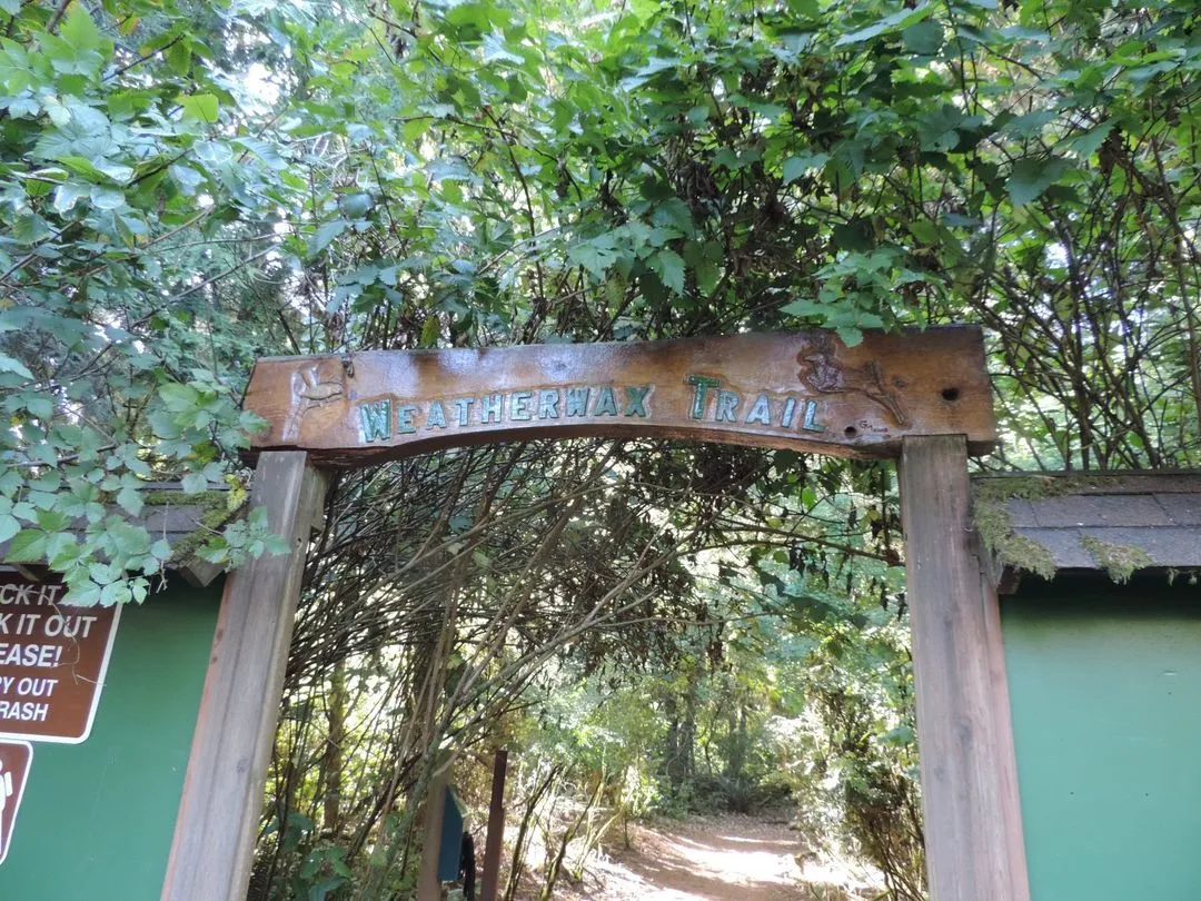 Weatherwax Natural Area