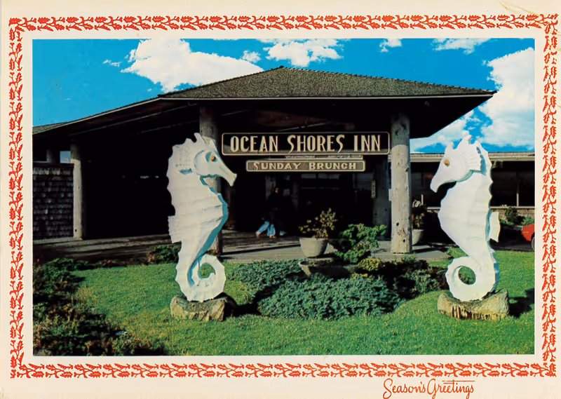 Seahorses in Ocean Shores