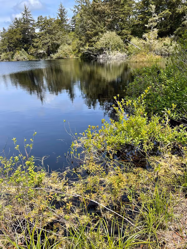 An Introduction to Coastal Watersheds