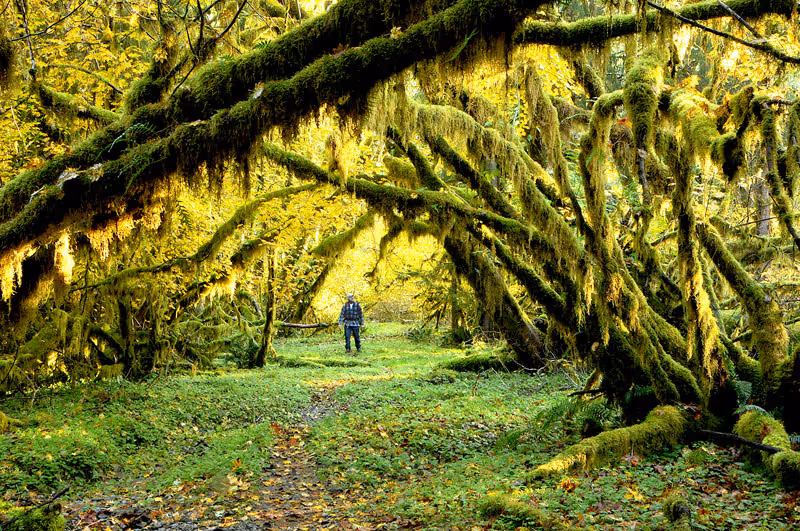 The Sam's River Loop Trail
