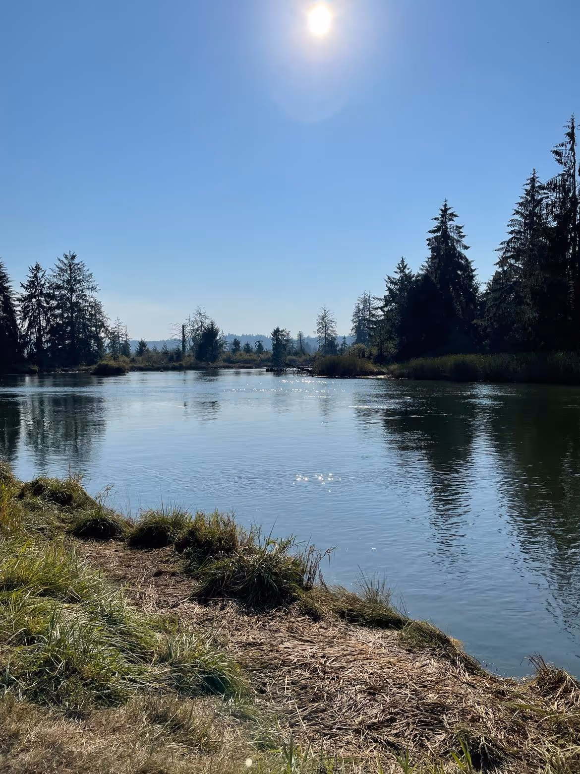 Northern Willapa Bay Watershed
