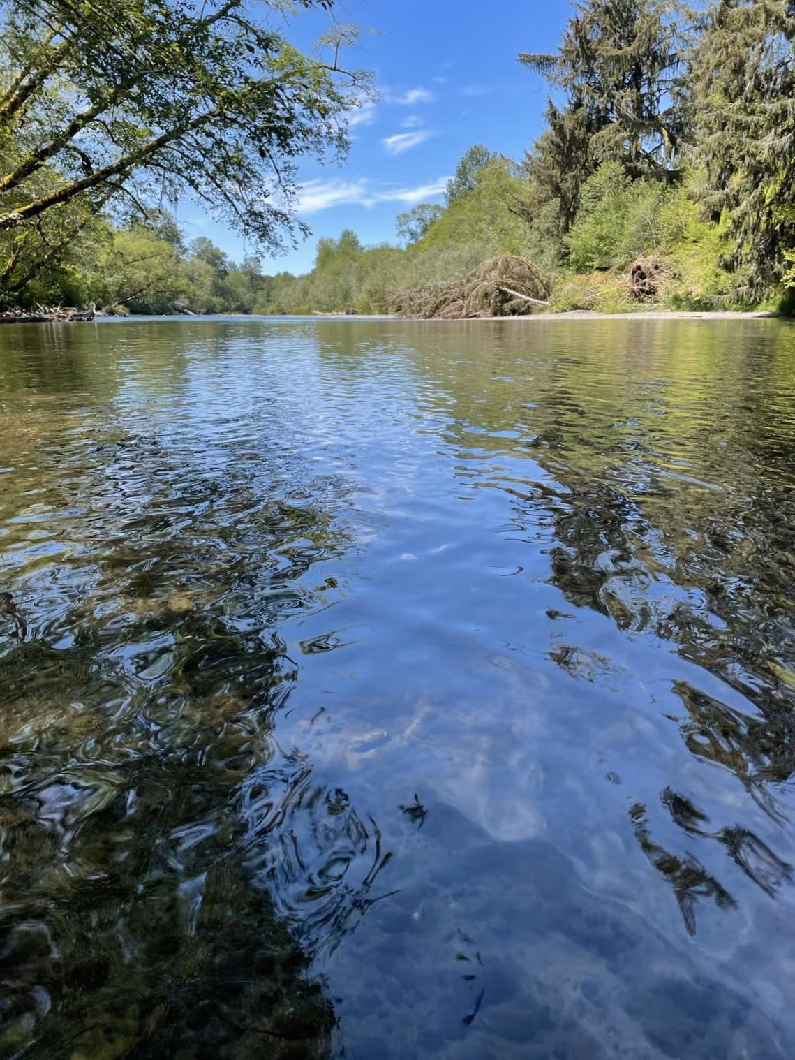 Humptulips River Watershed