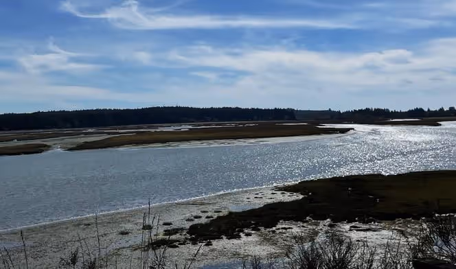Coastal Watersheds: Exploring the Chehalis River’s Grays Harbor Tributaries