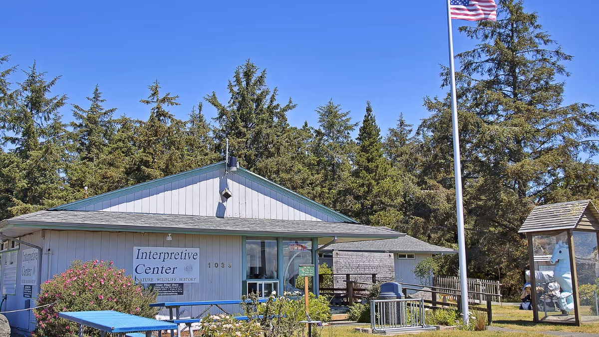 Tidelines: May, 2024