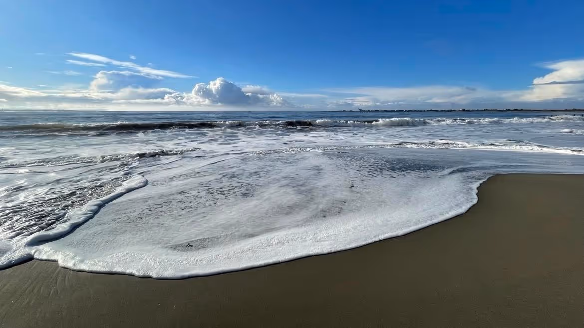 Tidelines: August, 2024