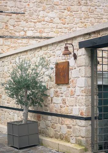 Stone wall of a building with a potted olive tree, a rusty lantern, and a partially visible metal gate.
