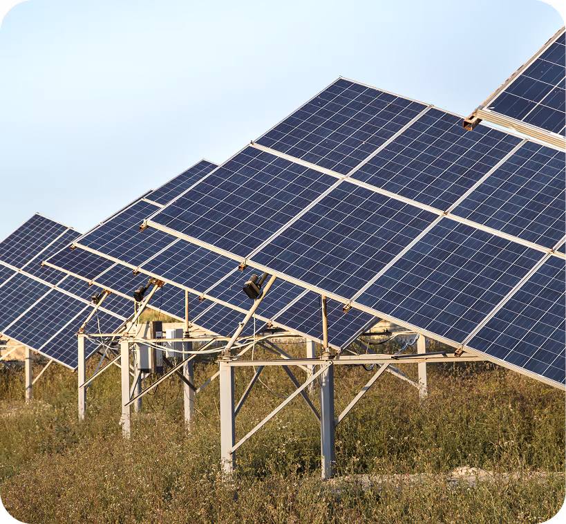Rows of solar panels installed on metal frames in a grassy field under a clear sky.