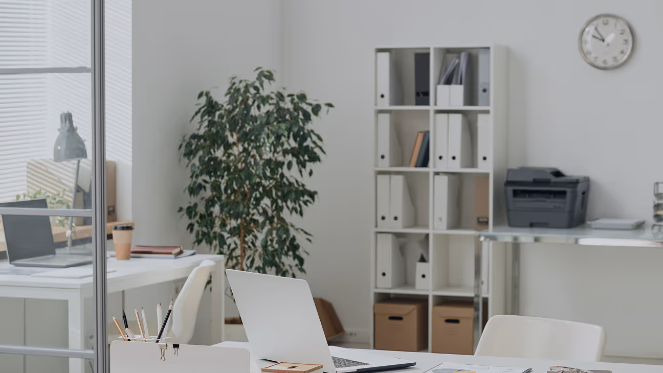 Modern office with desks, laptops, a large plant, shelves with binders, and a wall clock.