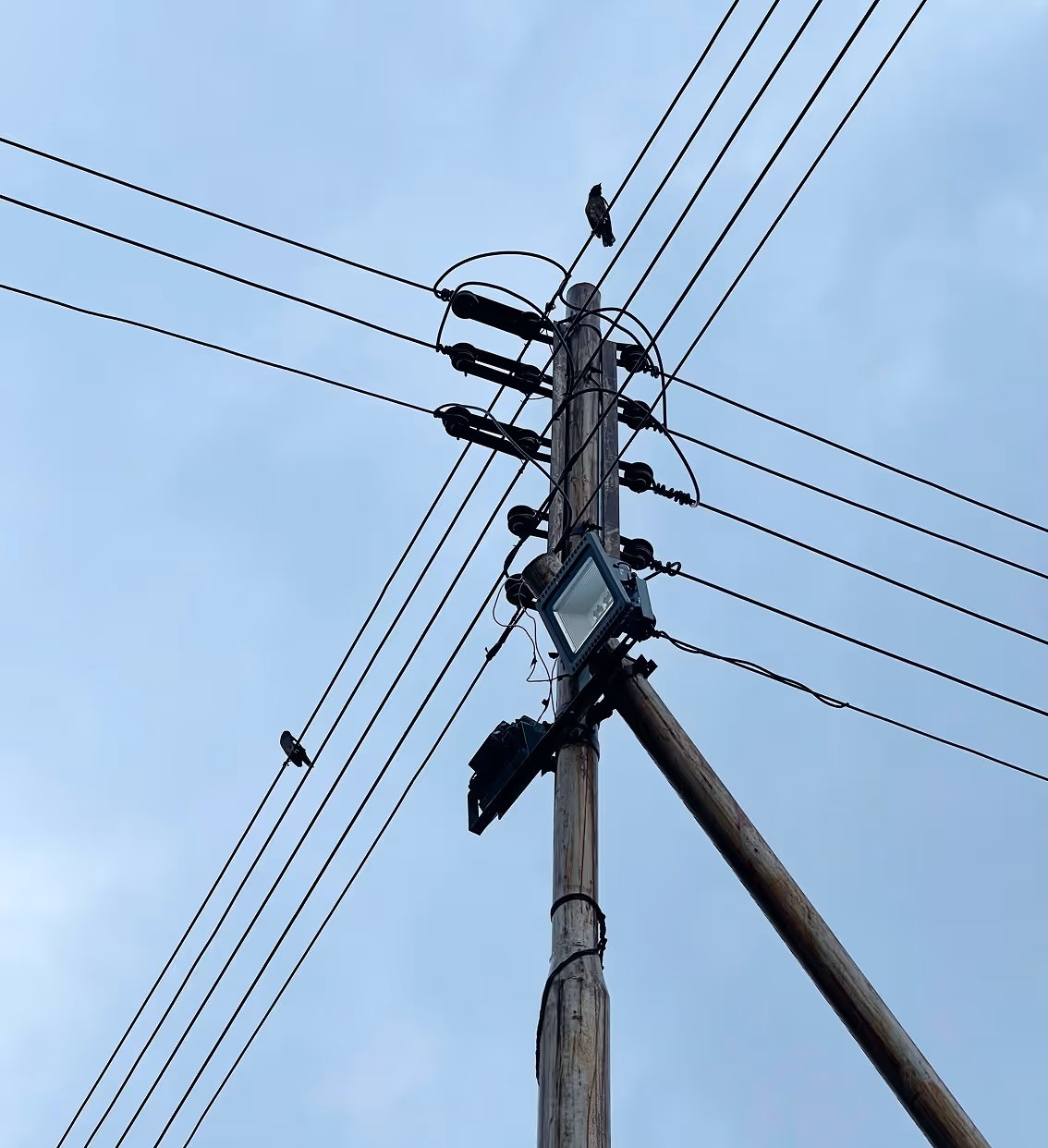 Two birds perched on wires of a wooden utility pole against a cloudy blue sky.