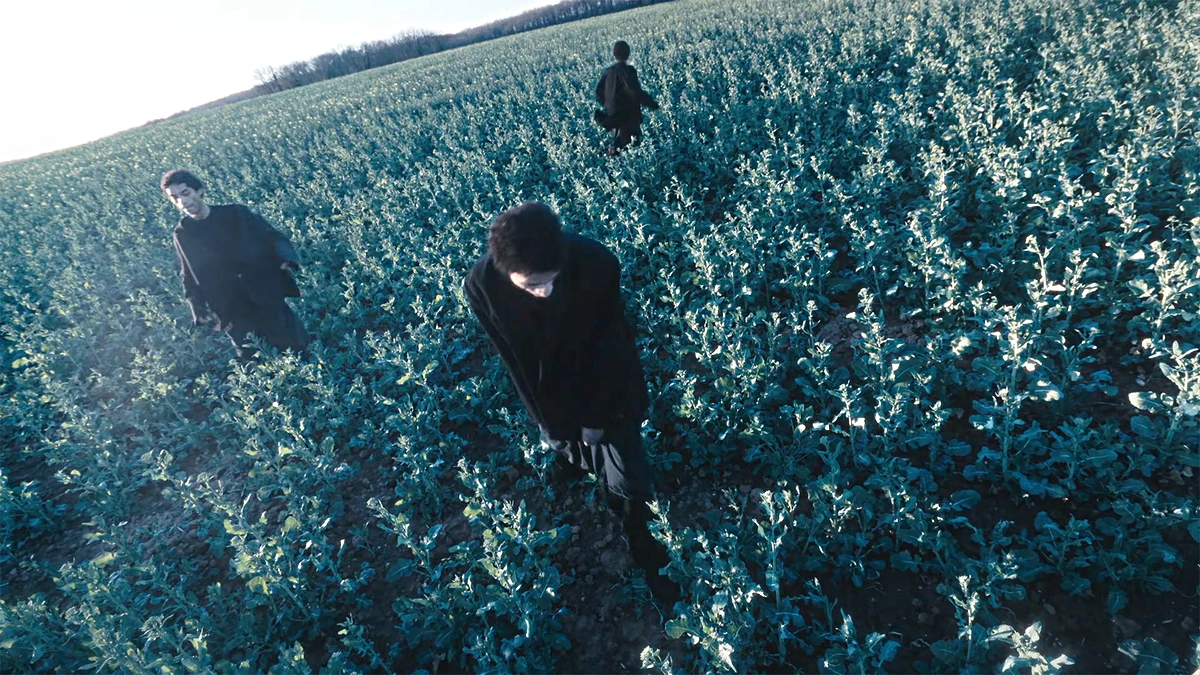 Video Preview