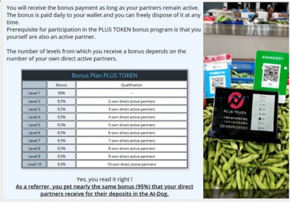 Screenshots from a ponzi scheme