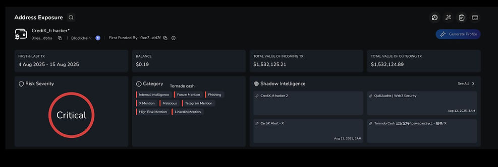 Dashboard showing address exposure with "Critical" risk. Includes transaction dates, balance, incoming/outgoing values, and shadow intelligence.