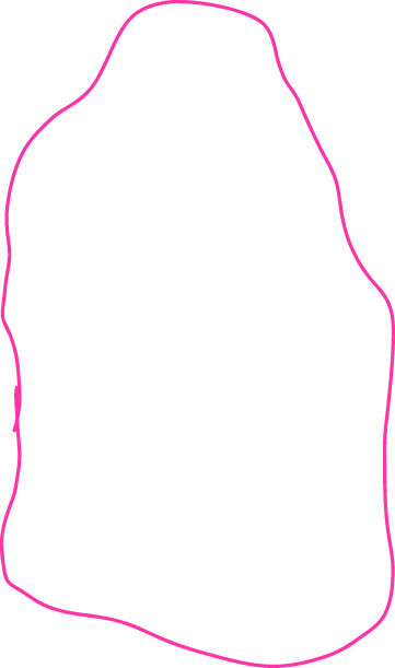 Irregular pink hand-drawn outline on a white background.